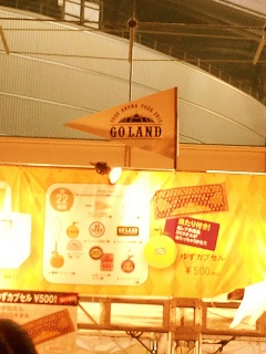 �䂸LAND
